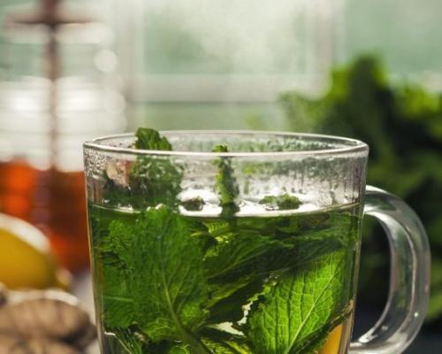 Thé Vert / Infusion img