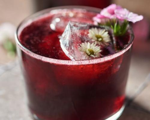 Agua De Jamaica img